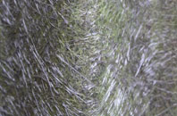 Callakille fibreglass roof work